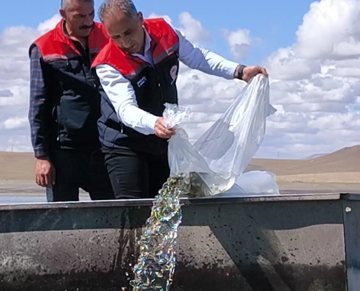 karstaki-gollere-500-bin-yavru-sazan-birakildi-fZdLjmhJ.jpg