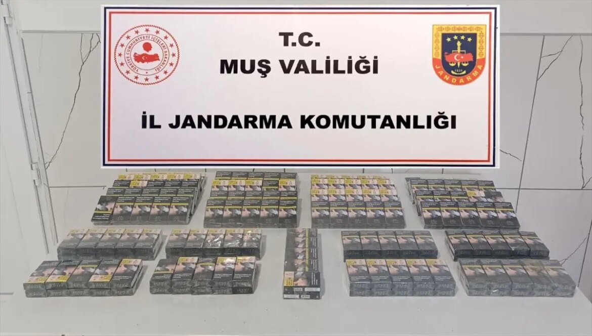 musta-kacak-sigara-operasyonu-270-paket-ele-gecirildi-hgukGgOn.jpg